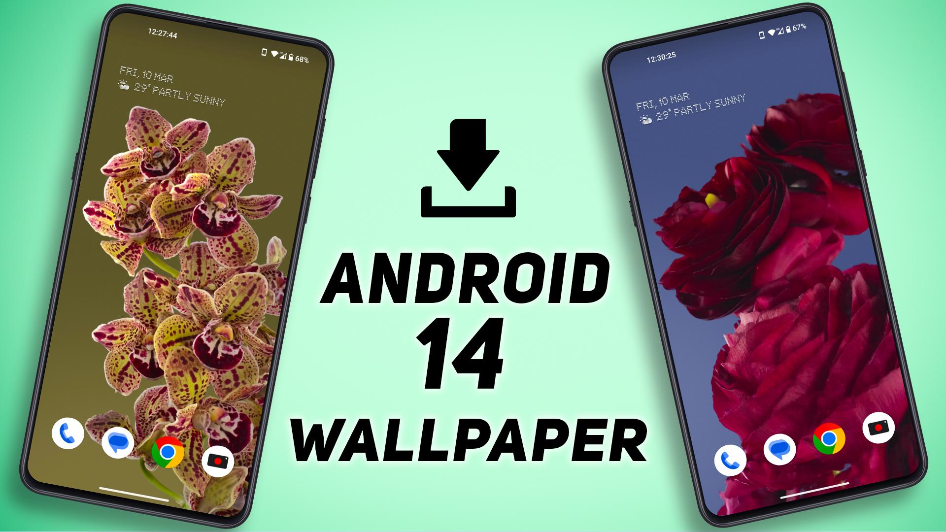 Download Android 14 3D Live Wallpapers