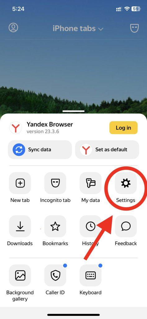 Clear Cookies from Yandex Browser step 3