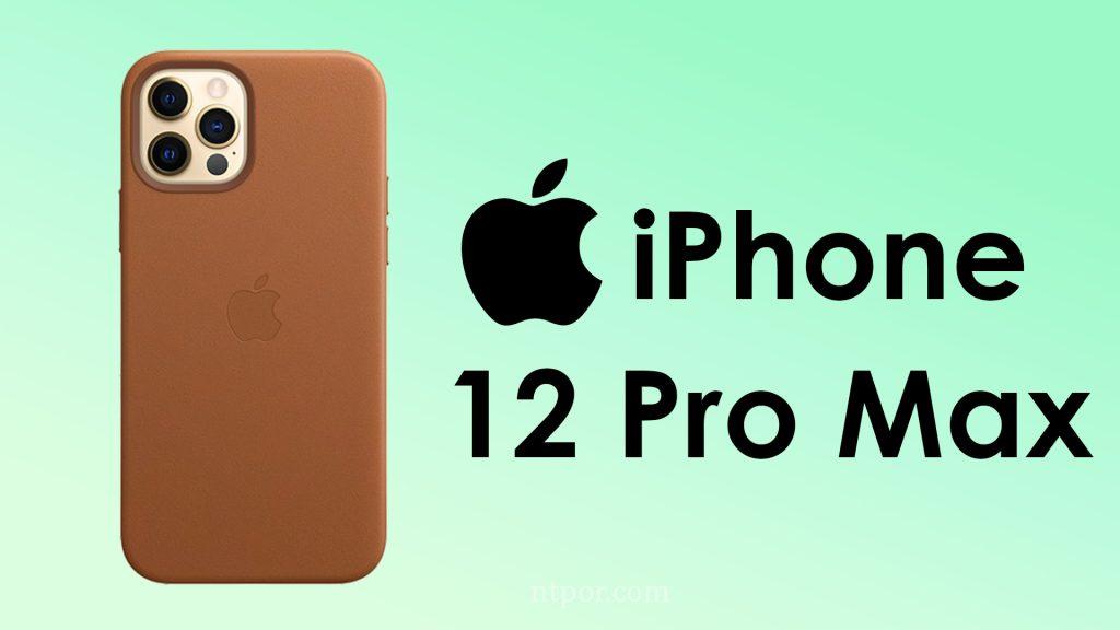 iPhone 12 pro max battery info