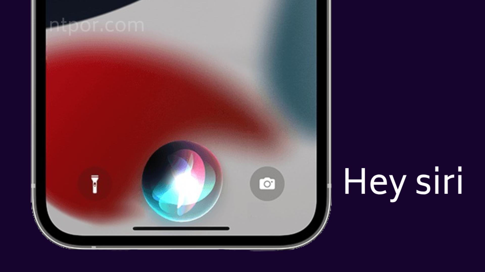 How to use Siri on iPhone 14